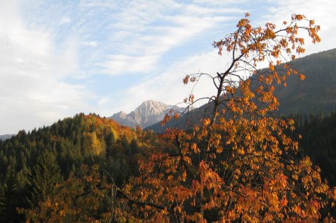 Herbsturlaub in Kärnten - Herbstliche Aussichten auf die Berge