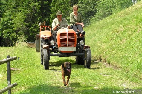 Hans und Lisi auf dem Traktor